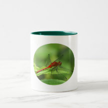 Dragonfly Mug