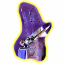 Dragonfly Neg Image 01 photo sculptures