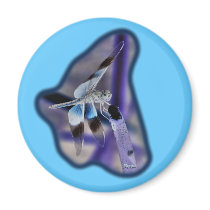 Dragonfly Neg Image 03 magnets