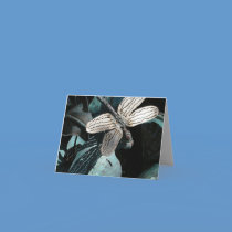 Dragonfly Notecards cards