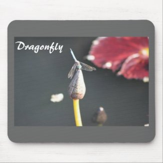 dragonfly on a bud mousepad