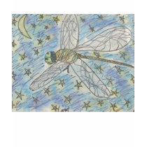 Dragonfly on a Starry Night t-shirts