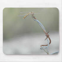 Dragonfly on Barb wire Mouse Pads