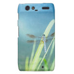 Dragonfly on Blue Motorola Droid RAZR Case