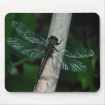 Dragonfly on branch 105 mousepads
