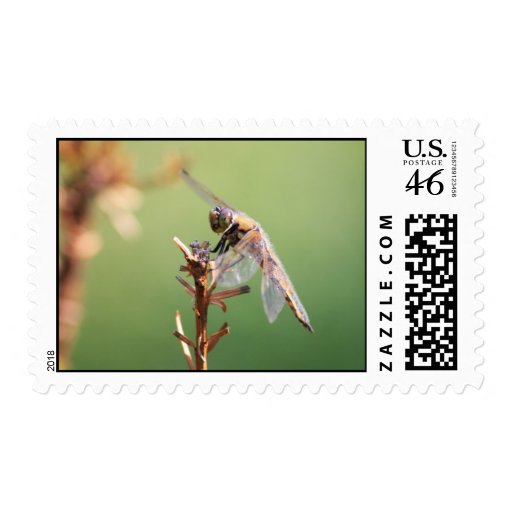 Dragonfly on Branch - Stamp