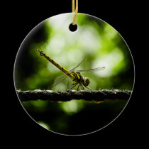 Dragonfly on green - Fine art Ornaments ornaments