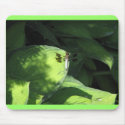 Dragonfly on Hosta Leaves mousepads by patsarts Dragonfly on Hosta Leaves mousepads