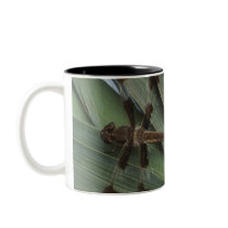 Dragonfly on plant coffee mugs