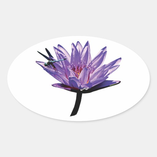 Dragonfly on Purple Water Lily Stickers