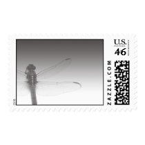 Dragonfly on the Side Postage Stamp by Augie_Designs Dragonfly on the Side Postage Stamp