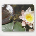 Dragonfly on Waterlilly in Ravello, italy mousepads by ooitburns Dragonfly on Waterlilly in Ravello, italy mousepads