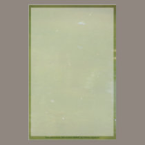 Dragonfly over the water stationery