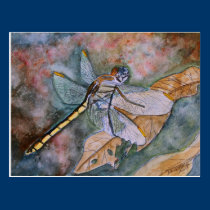 dragonfly painting postcards