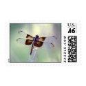 dragonfly - pastel postage