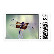 dragonfly - pastel postage