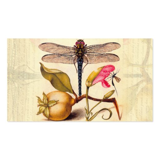 Dragonfly, Pear, Carnation, and Insect Business Card Template (back side)