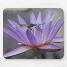 Dragonfly Perched on Lilly Mousepad