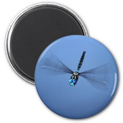 Dragonfly Photo Magnet