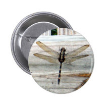 Dragonfly buttons