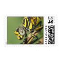 dragonfly postage