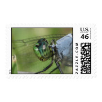 dragonfly postage