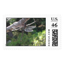 dragonfly postage