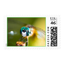Dragonfly postage by Romona Dragonfly postage