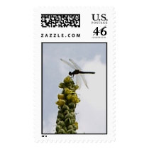 Dragonfly postage by JLWinther Dragonfly postage
