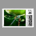 Dragonfly Postage