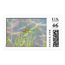 Dragonfly postage by piecey18 Dragonfly postage