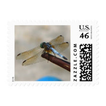 Dragonfly postage