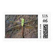 Dragonfly postage by JBertrand Dragonfly postage