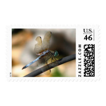 Dragonfly Postage
