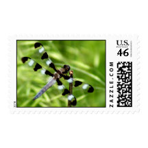 Dragonfly Postage