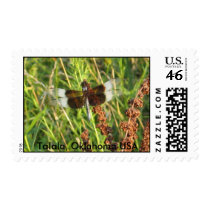 Dragonfly Postage Stamp