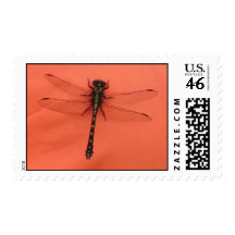 dragonfly postage stamp