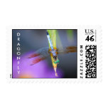 DRAGONFLY - postage stamps