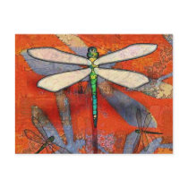 Dragonfly postcards by evisionarts Dragonfly postcards