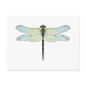 DragonFly postcards by la2hawaii DragonFly postcards