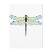 DragonFly postcards by la2hawaii DragonFly postcards