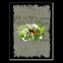 Dragonfly Postcard