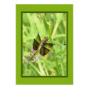 Dragonfly Poster posters by rosewood_designs Dragonfly Poster posters