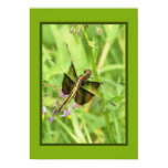 Dragonfly Poster Dragonfly Poster