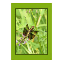 Dragonfly Poster posters by rosewood_designs Dragonfly Poster posters