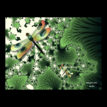 Dragonfly Poster posters
