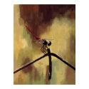 Dragonfly posters