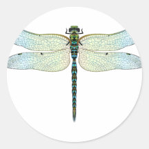 DragonFly Round Sticker
