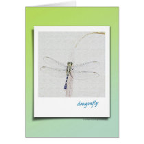 Dragonfly Sketch Card by WillWorkForDogFood Dragonfly Sketch Card