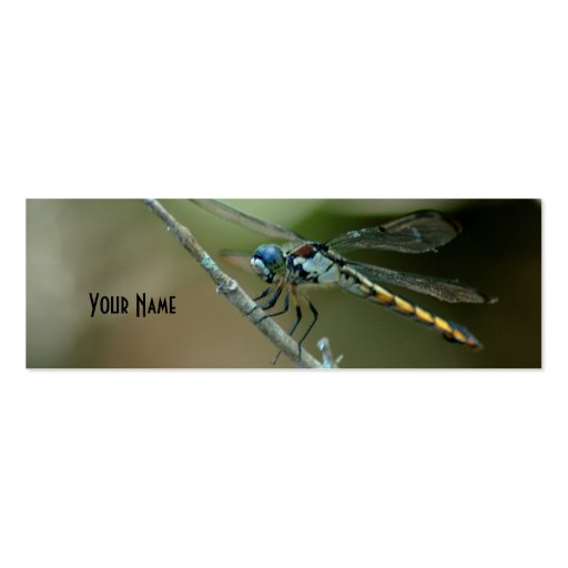dragonfly skinny card 2 business card template (front side)